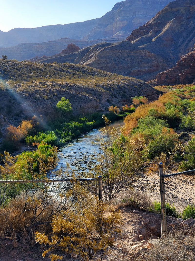 2025 St. George Plein Air Festival