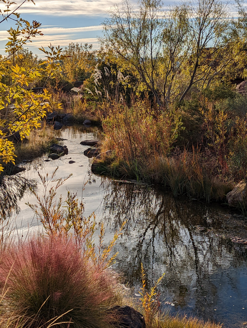 2025 St. George Plein Air Festival